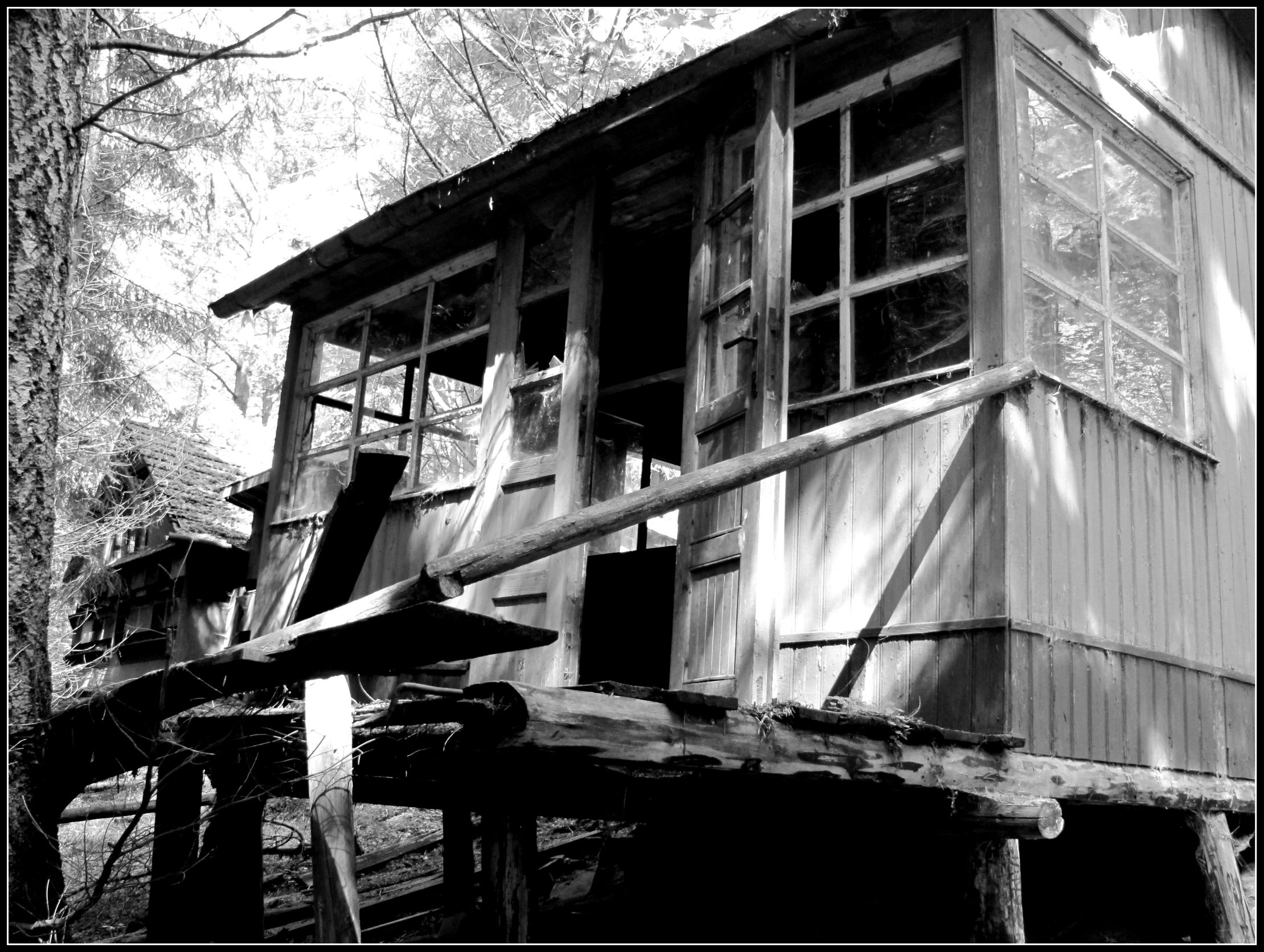 bees_hut